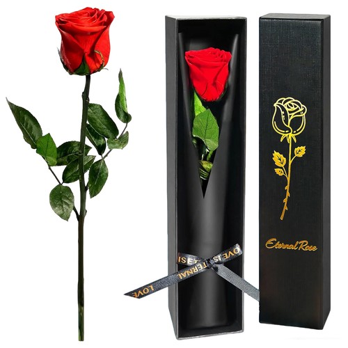 Ewige rose geschenke für - ewige,