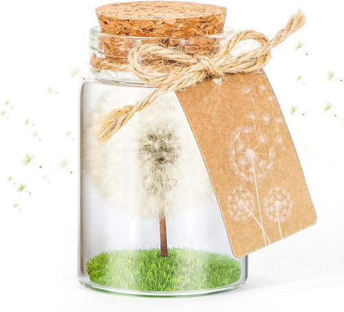 Echte pusteblume glas - pusteblume, im