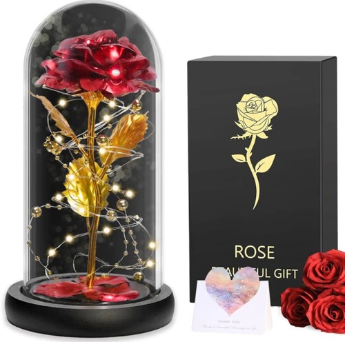 Led ewige rose - ewige, im
